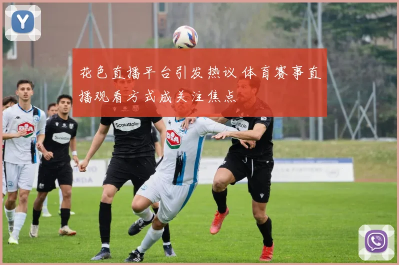 花色直播平台引发热议 体育赛事直播观看方式成关注焦点
