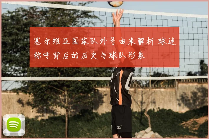 塞尔维亚国家队外号由来解析 球迷称呼背后的历史与球队形象