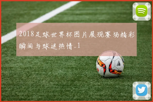 2018足球世界杯图片展现赛场精彩瞬间与球迷热情_1
