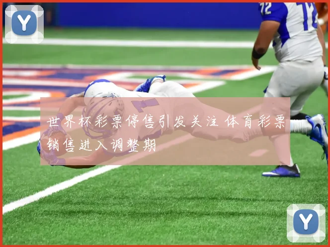 世界杯彩票停售引发关注 体育彩票销售进入调整期