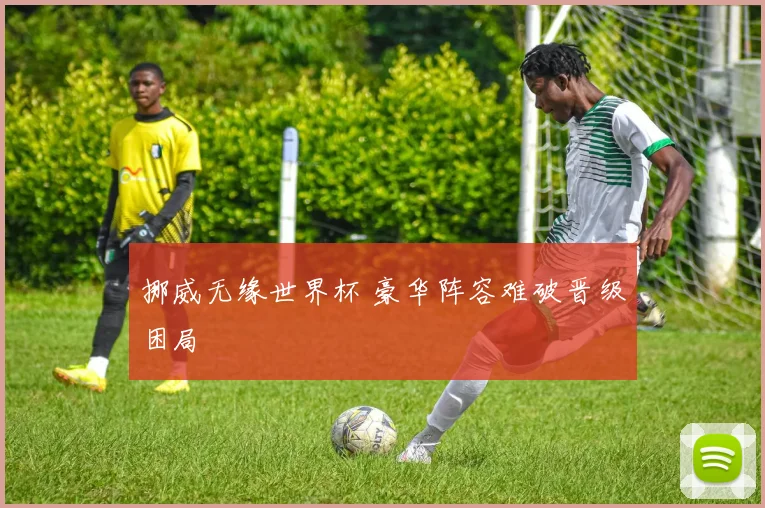 挪威无缘世界杯 豪华阵容难破晋级困局